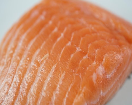 Fresh red salmon fillet on ice