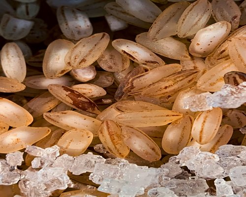 Close up of raw almonds